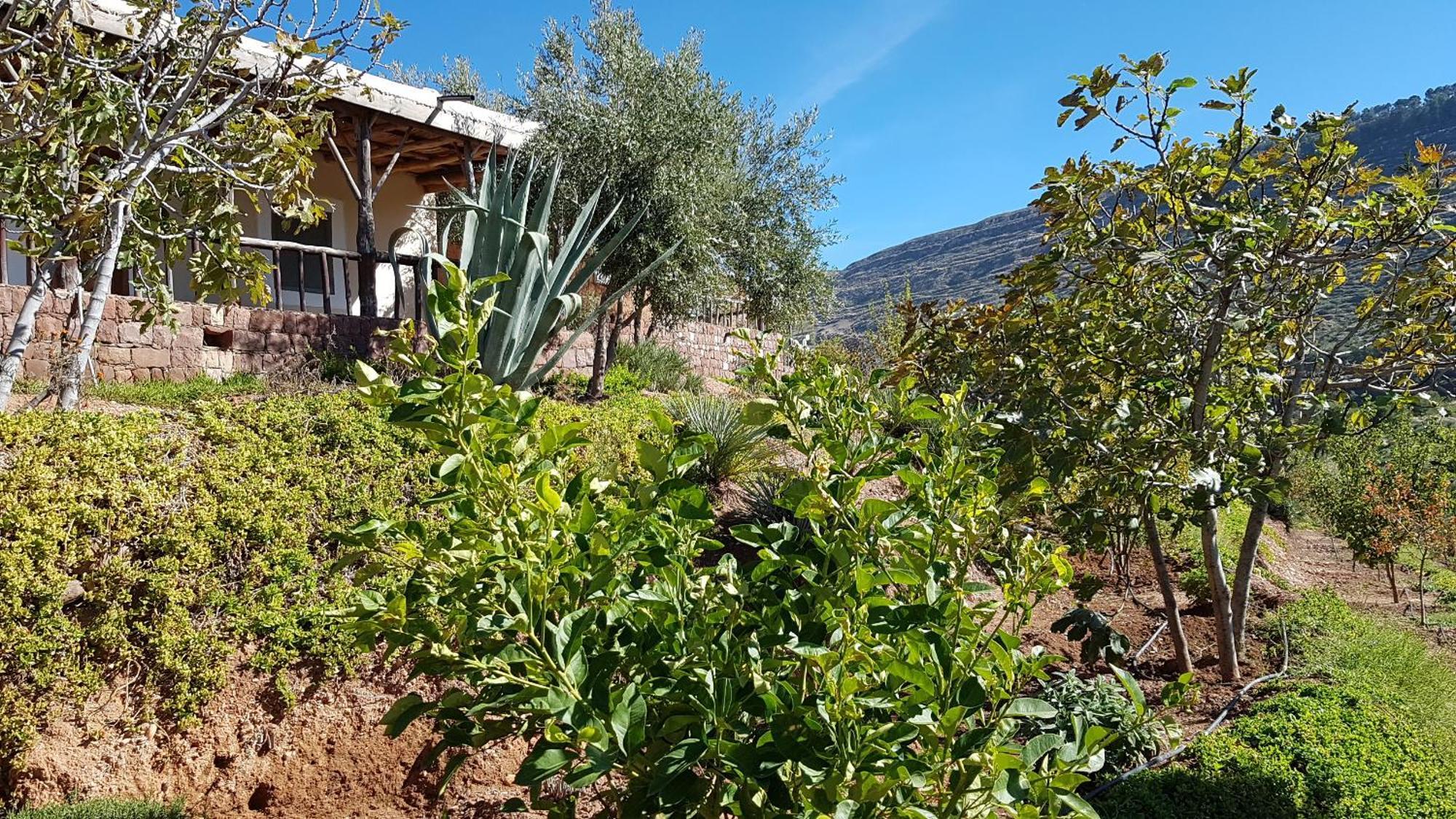 Le Douar Berbere (Adults Only) Villa Ourika Exterior photo